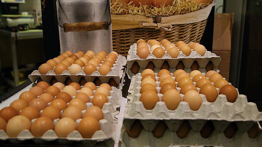 Danimarka’da 20 ton böcek ilaçlı yumurta piyasaya sürülmüş