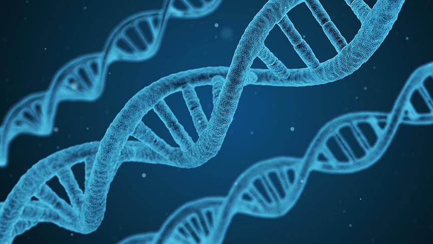 Türk bilim insanları neolitik dönemin DNA şifrelerini çözecek