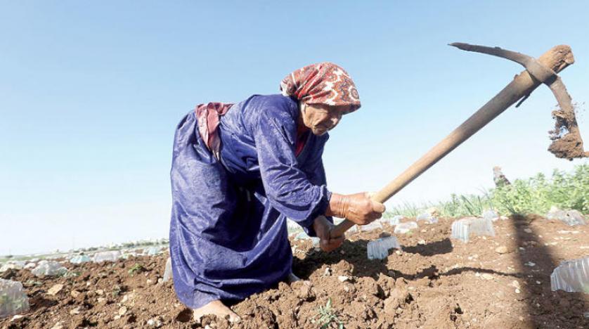 Gazzeli kadınlar aileleri için geçim mücadelesi veriyor