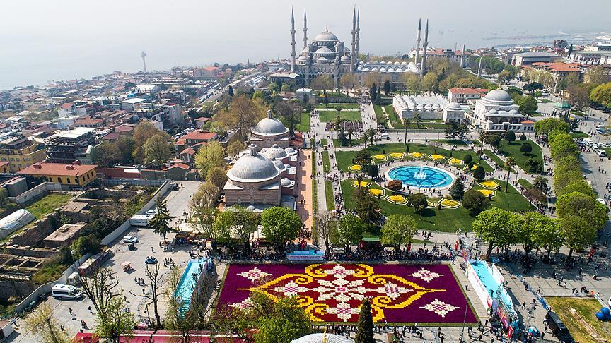 Dünyanın en büyük canlı lale halısı görücüye çıktı