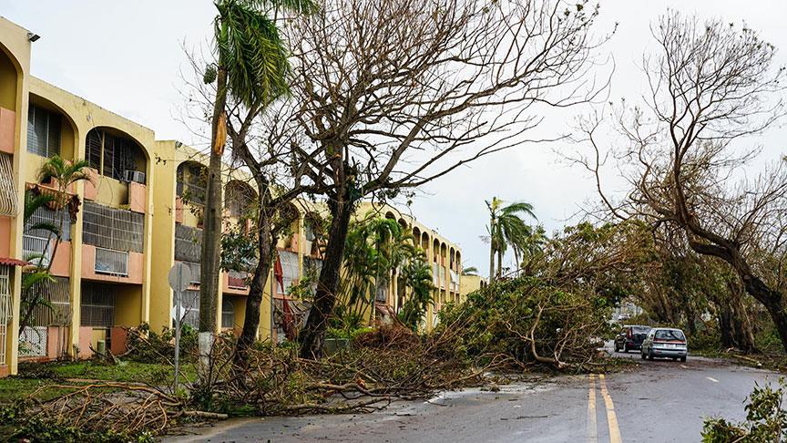 ‘Porto Riko’da Maria kasırgası nedeniyle 4 bin 600 kişi hayatını kaybetti’