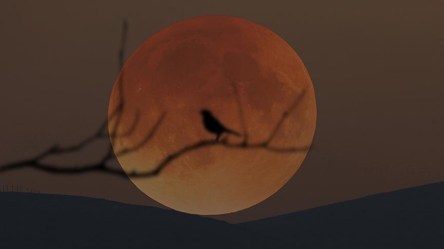 21. yüzyılın en uzun ‘Kanlı Ay’ tutulması cuma günü yaşanacak