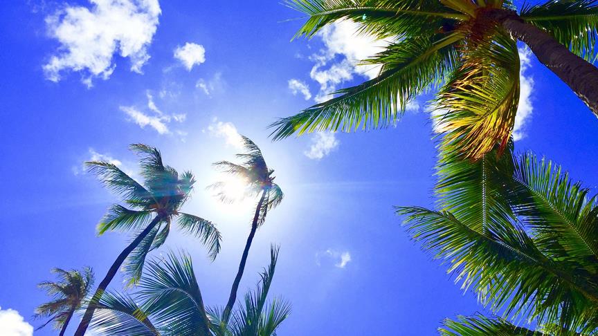 Hawaii ‘güneş kremi’ düzenlemesiyle ABD’de bir ilke imza attı