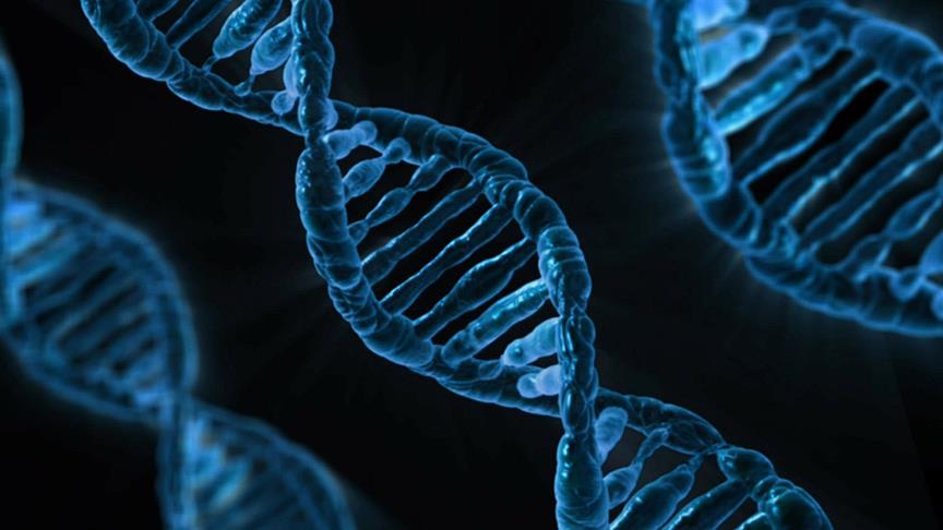 Tüketilen gıdanın DNA’ya ‘net’ etkileri tespit edildi