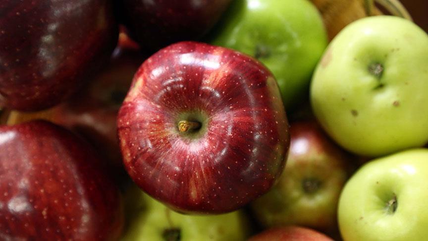 ‘Bu elmaları Türkiye’de bulmak zor’