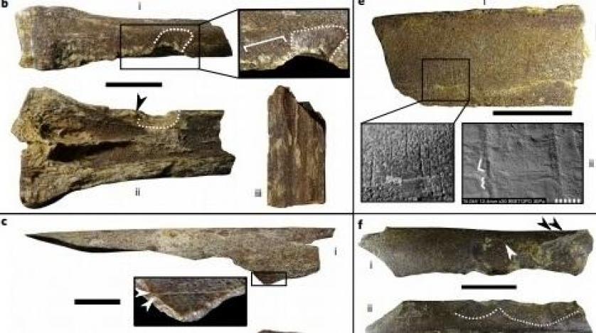 İnsanlık tarihinin en eski kalıntıları keşfedildi