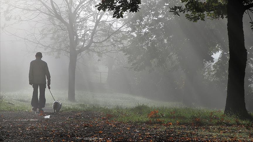 Çin’de köpek gezdirme yasağı